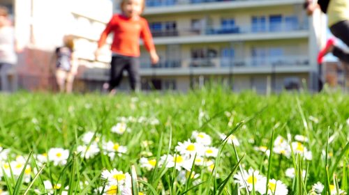 Rapport d'activité 2022